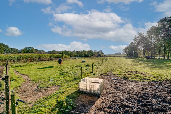 Medium property photo - Peppelmansdijk 12, 7011 JL Gaanderen